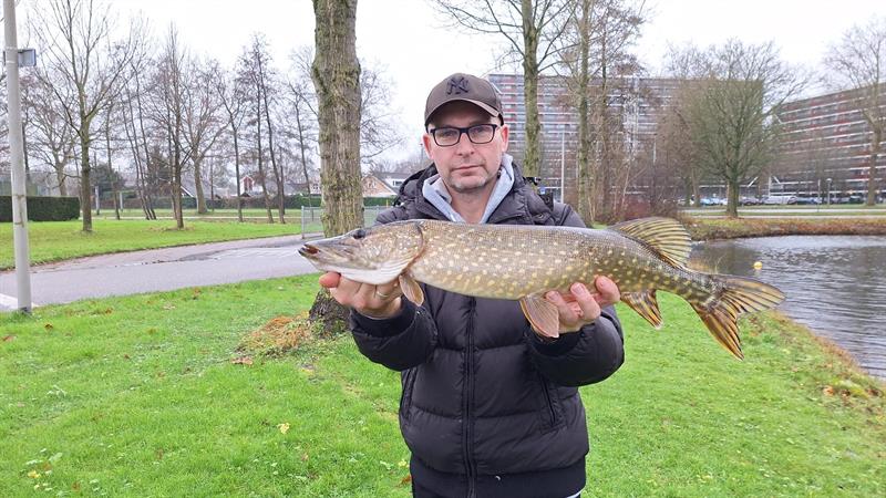 Snoek van 67 cm