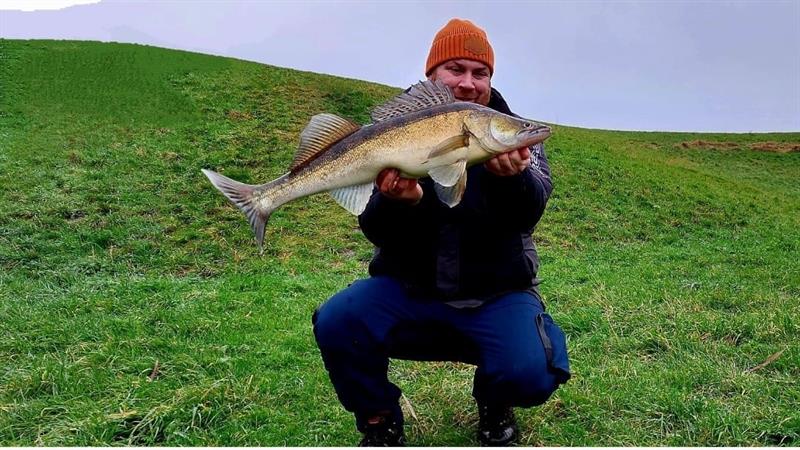 Snoekbaars van 76 cm