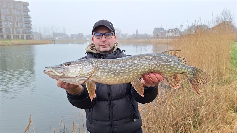 Snoek van 79 cm