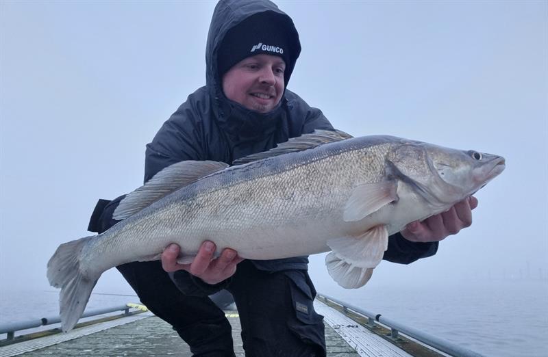 Snoekbaars van 76 cm