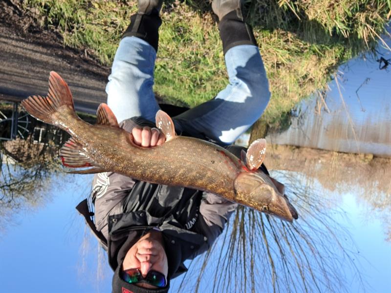 Snoek van 76 cm