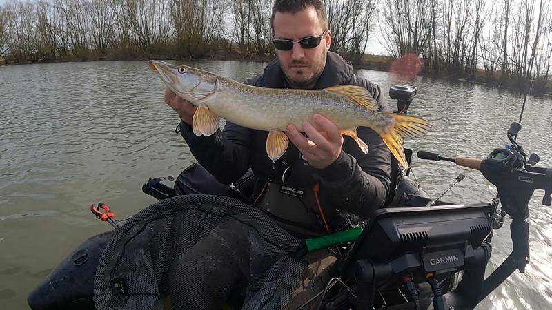 Snoek van 63 cm