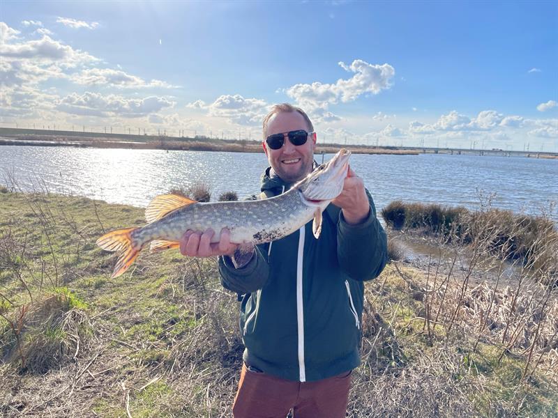 Snoek van 63 cm