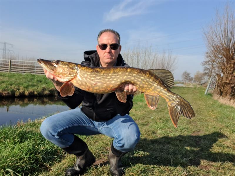 Snoek van 86 cm