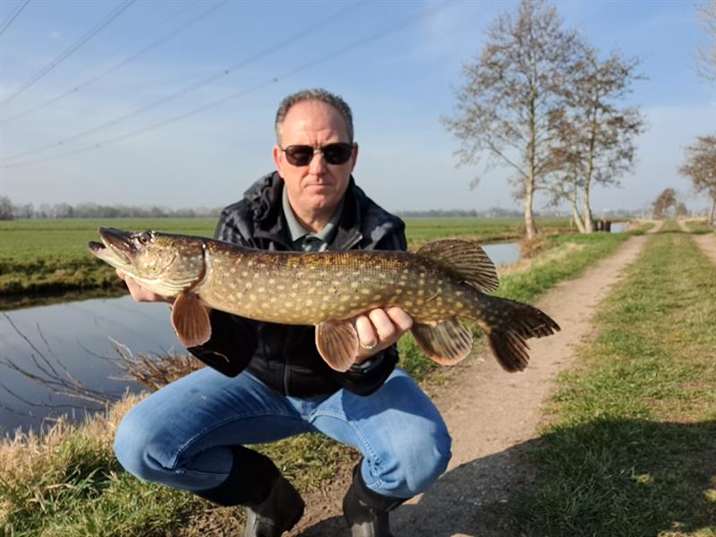 Snoek van 74 cm