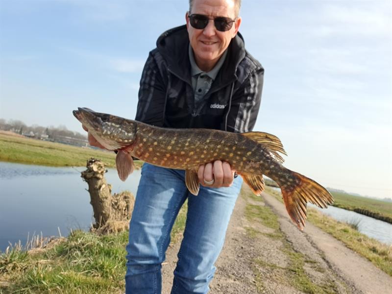 Snoek van 65 cm