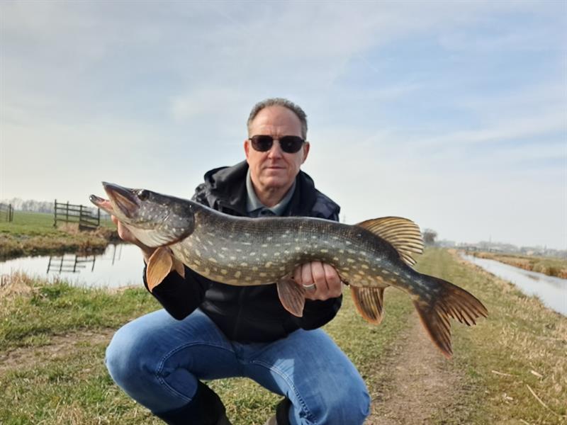 Snoek van 77 cm