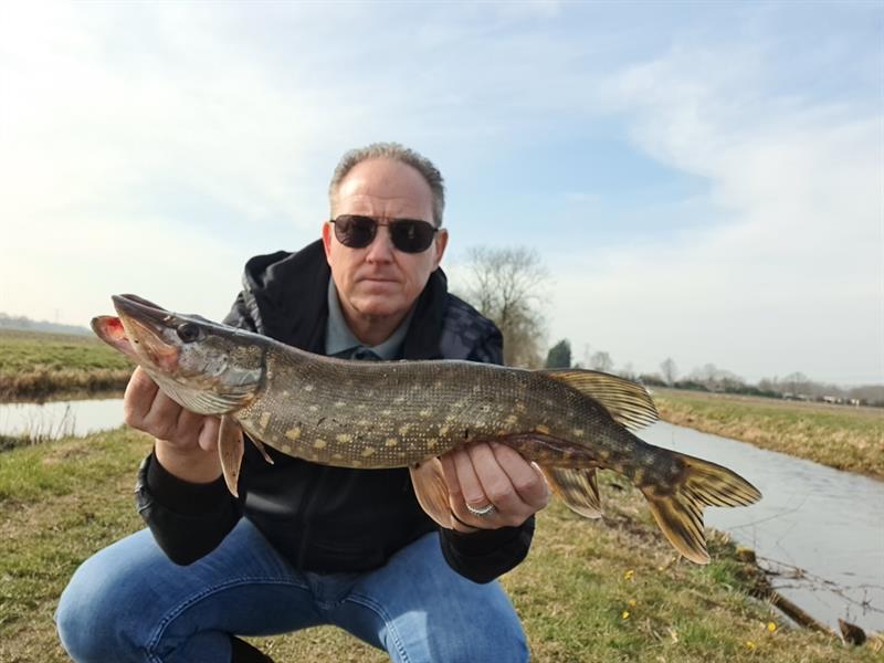 Snoek van 56 cm