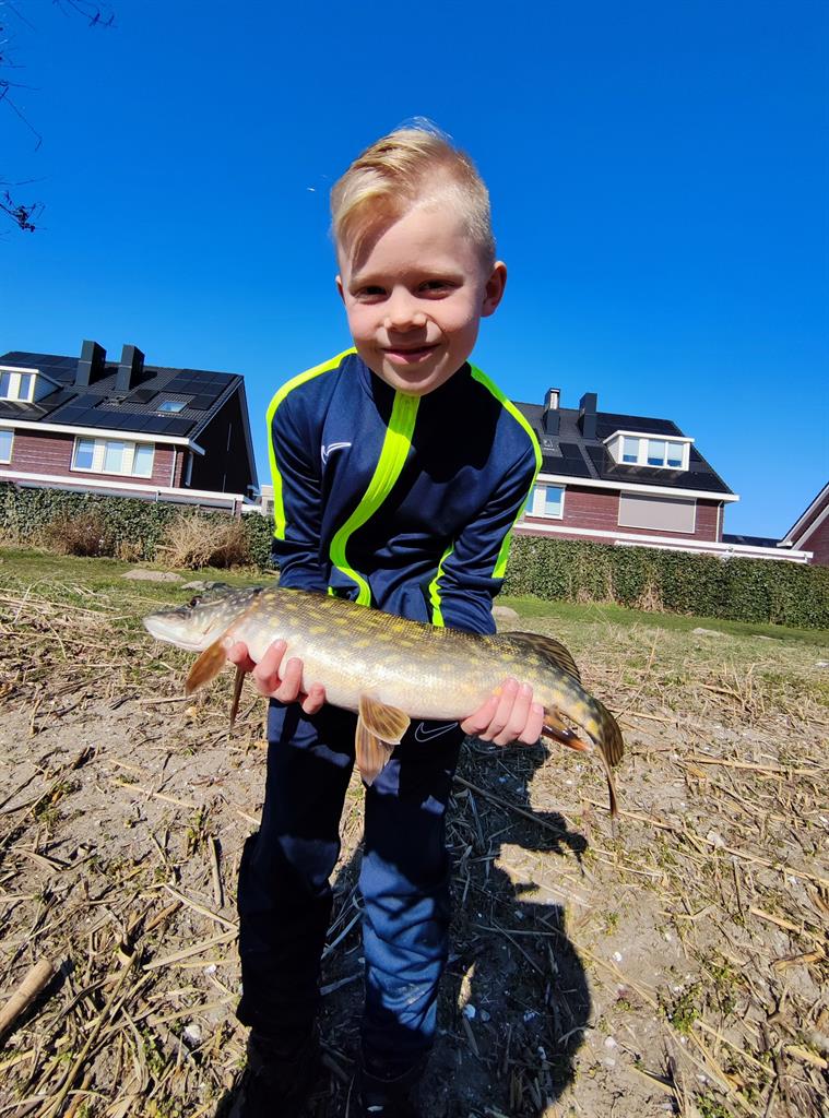 Snoek van 49 cm