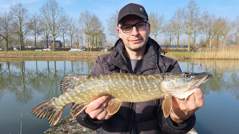 Snoek van 57 cm
