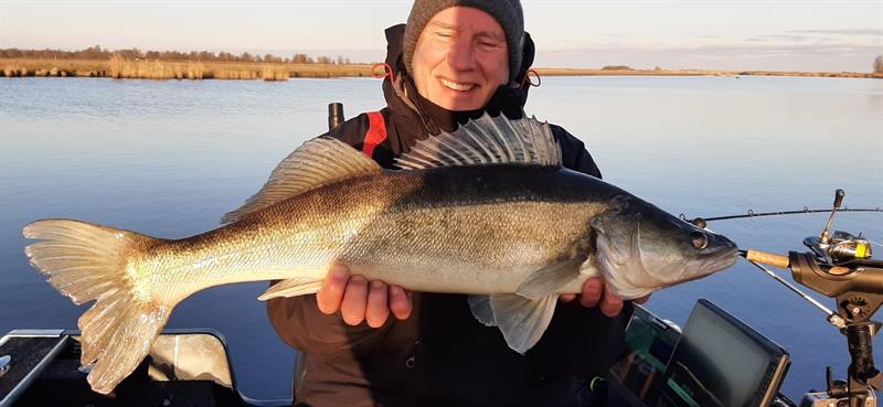 Snoekbaars van 71-75 cm