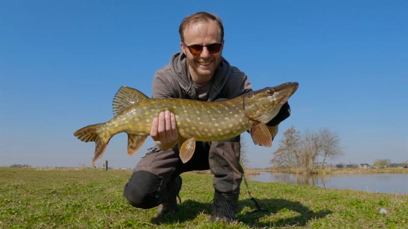 Snoek van 68 cm
