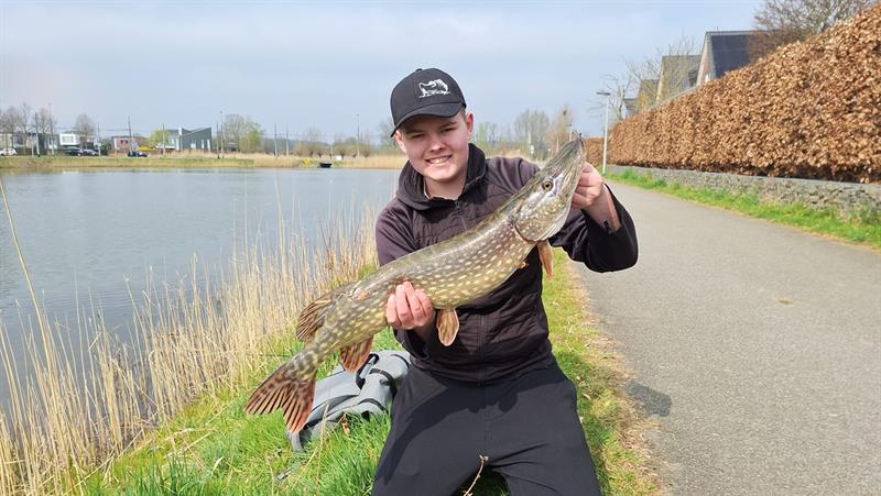 Snoek van 81 cm