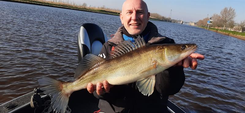 Snoekbaars van 46-50 cm