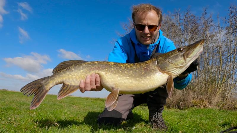 Snoek van 71 cm