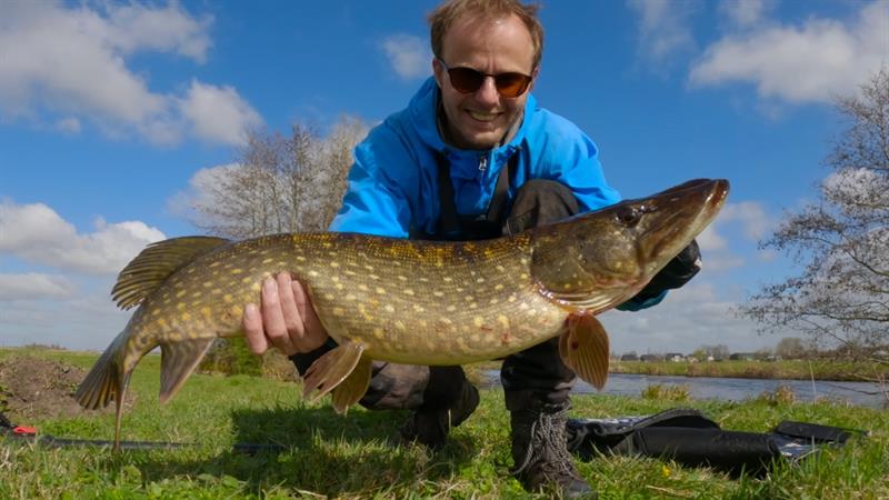Snoek van 82 cm