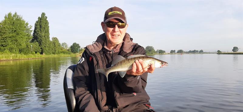 Snoekbaars van 36-40 cm