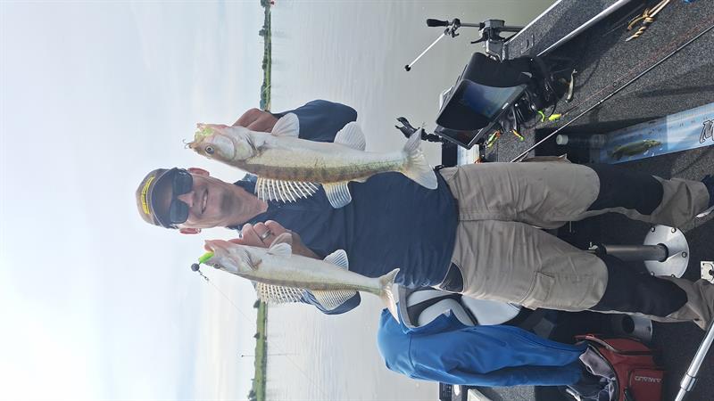 Snoekbaars van 41-45 cm