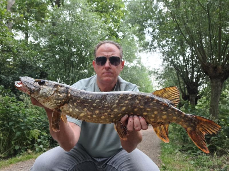 Snoek van 72 cm