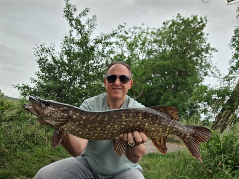 Snoek van 74 cm