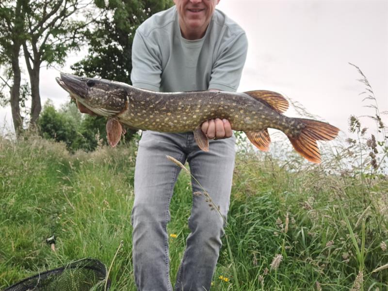 Snoek van 67 cm
