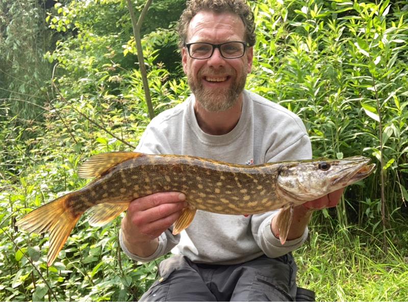 Snoek van 66 cm