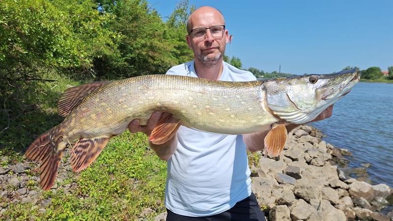 Snoek van 98 cm