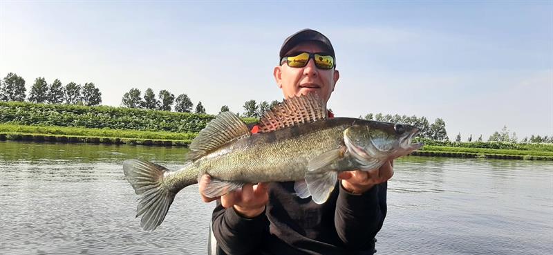 Snoekbaars van 60 cm