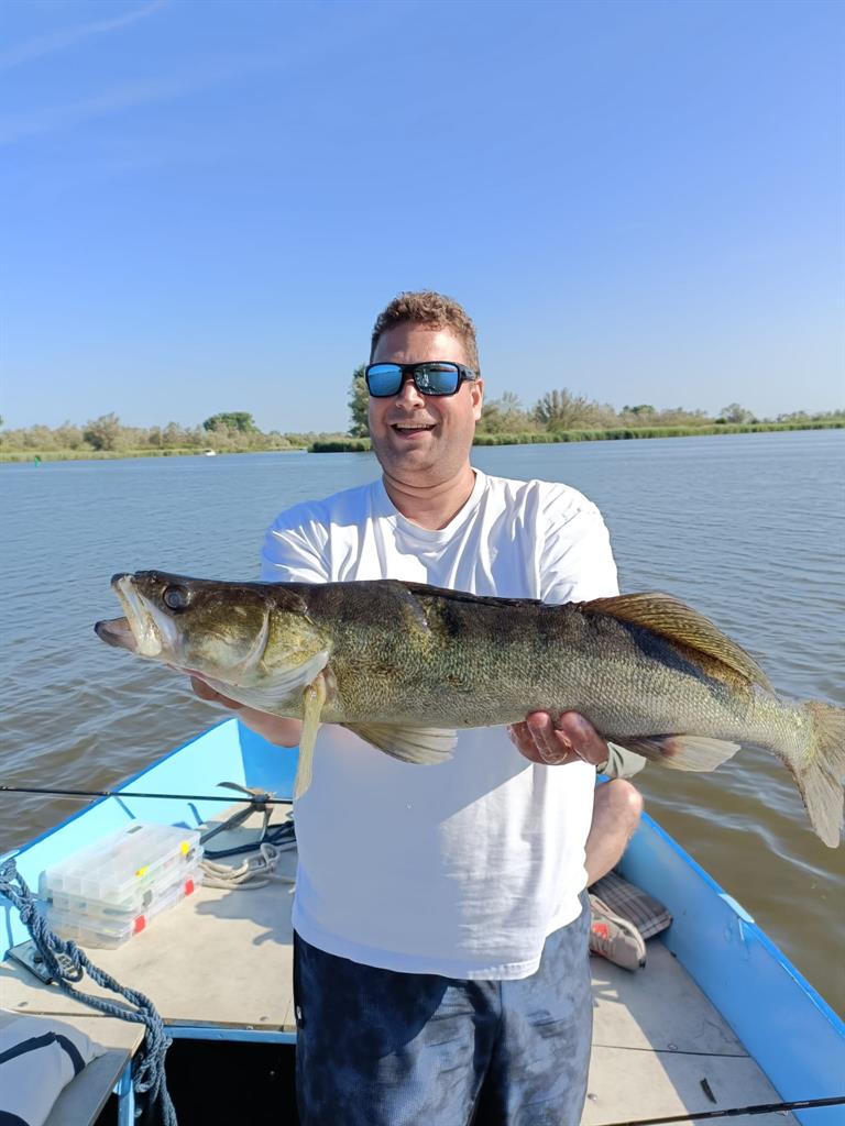 Snoekbaars van 71 cm
