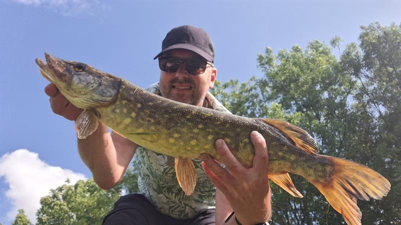 Snoek van 65 cm