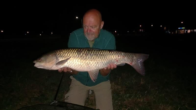 Graskarper van 80 cm