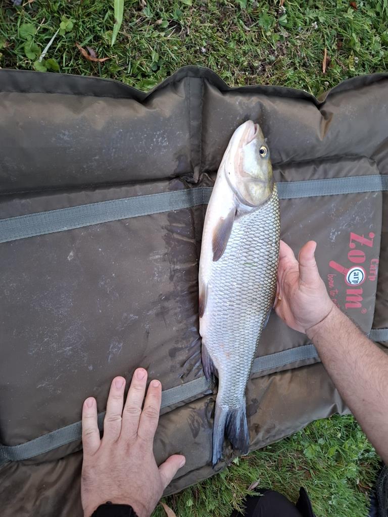 Roofblei van 1500 gram & 39 cm