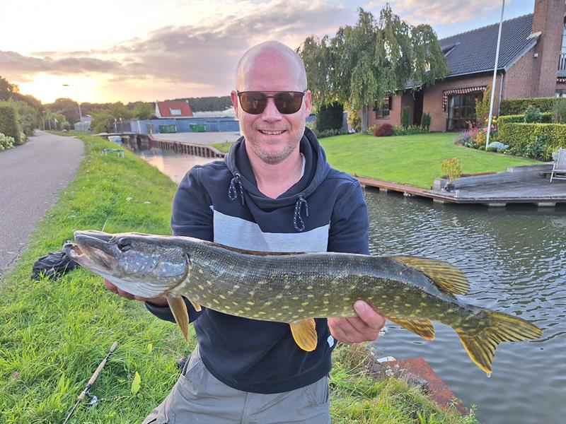 Snoek van 65 cm