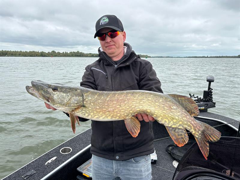Snoek van 82 cm