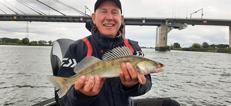 Snoek van 46-50 cm