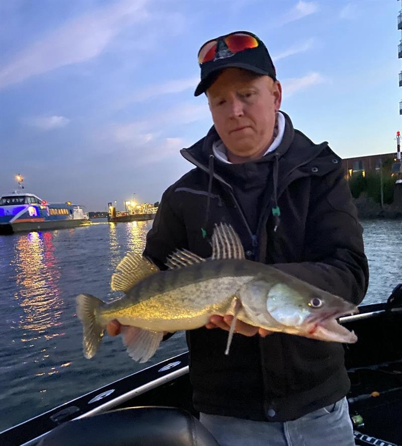 Snoekbaars van 52 cm