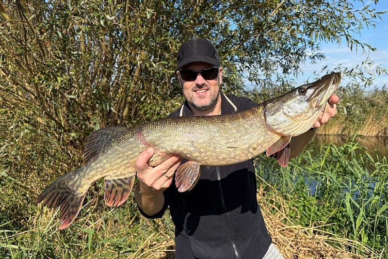 Snoek van 79 cm