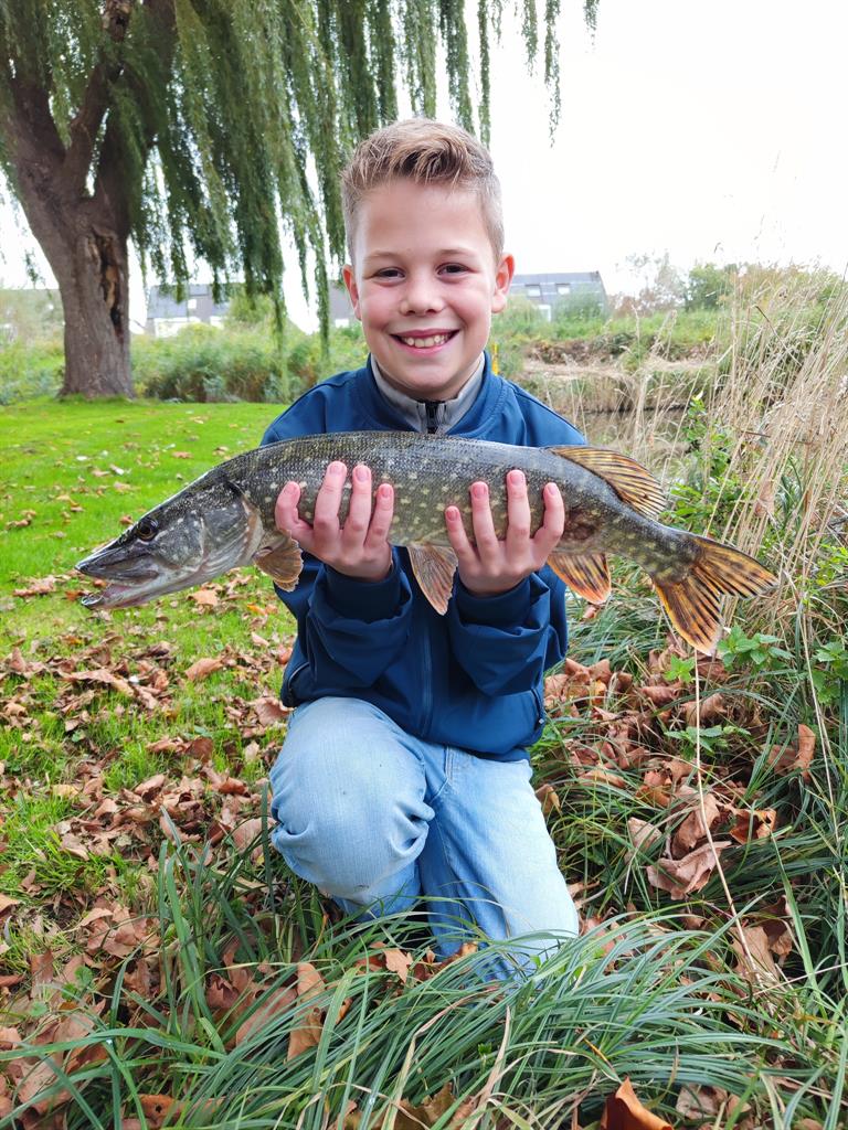 Snoek van 55 cm