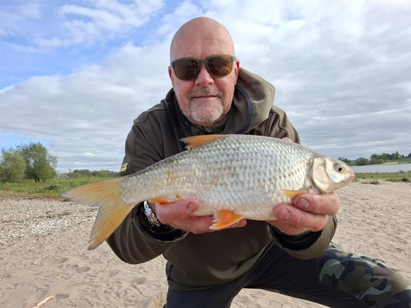 Blankvoorn van 34 cm