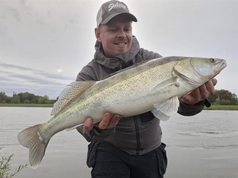 Snoekbaars van 66-70 cm