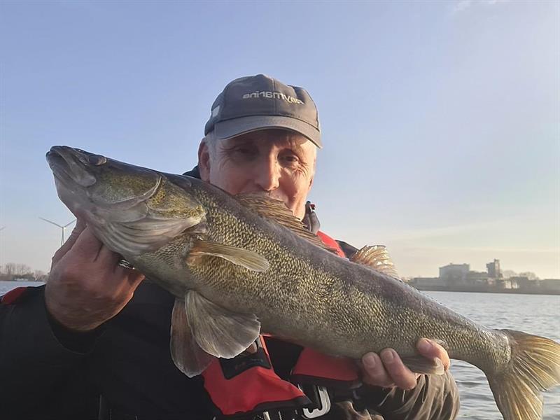 Snoekbaars van 75 cm