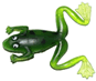 Albastar Frog