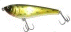 Bromanodell Esox Lucius Shallow