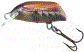 Dorado Beetle