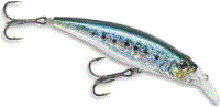 Owner Lures Savoy Shad